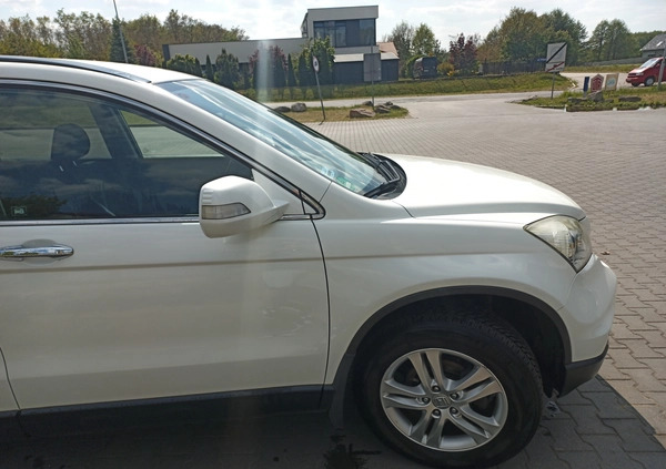 Honda CR-V cena 51900 przebieg: 165700, rok produkcji 2012 z Żary małe 379